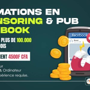 Formation Sponsoring Publicité Facebook