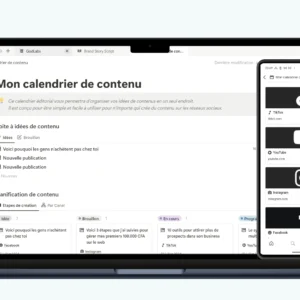 Template Notion - Calendrier Social media